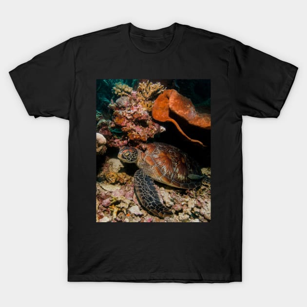 The Beauty of the Shell of a Green Turtle T-Shirt by jbbarnes